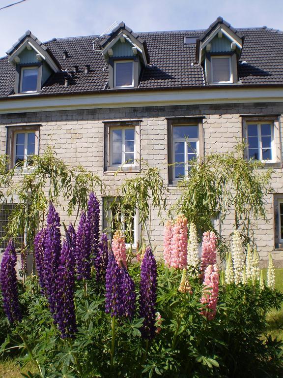 Chambres D'Hotes Le Clos Des Lesses Fresse-sur-Moselle 외부 사진